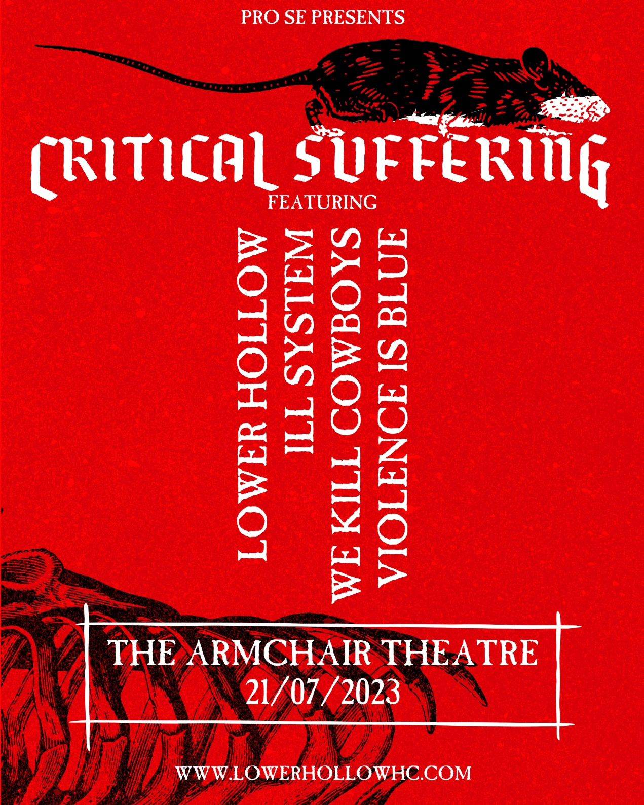 Critical Suffering featuring Lower Hollow & Ill System & We kill Cowboys & Violence is BlueGiggity, Cape Town