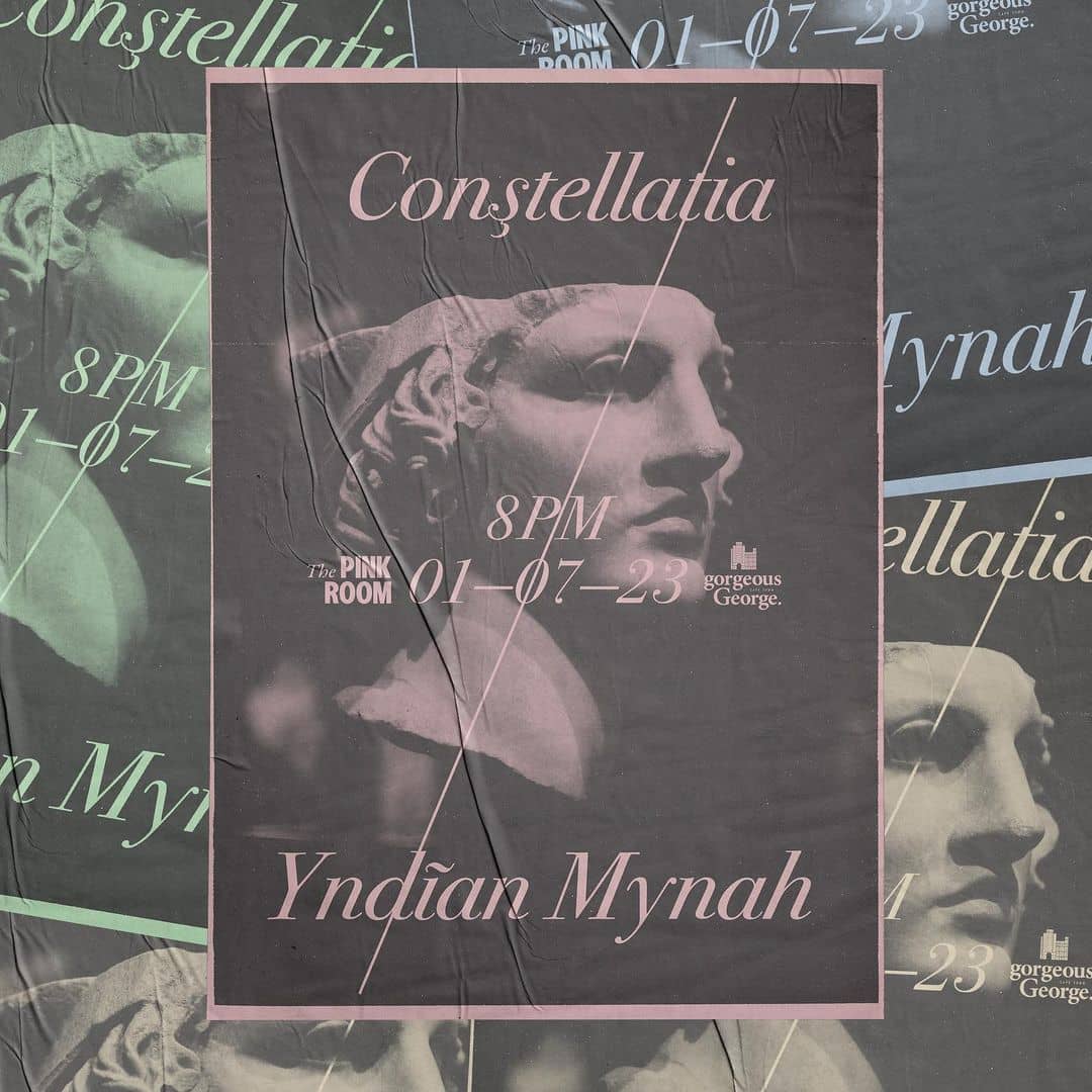 Constellatia x Yndian Mynah - Gorgeous GeorgeGiggity, Cape Town