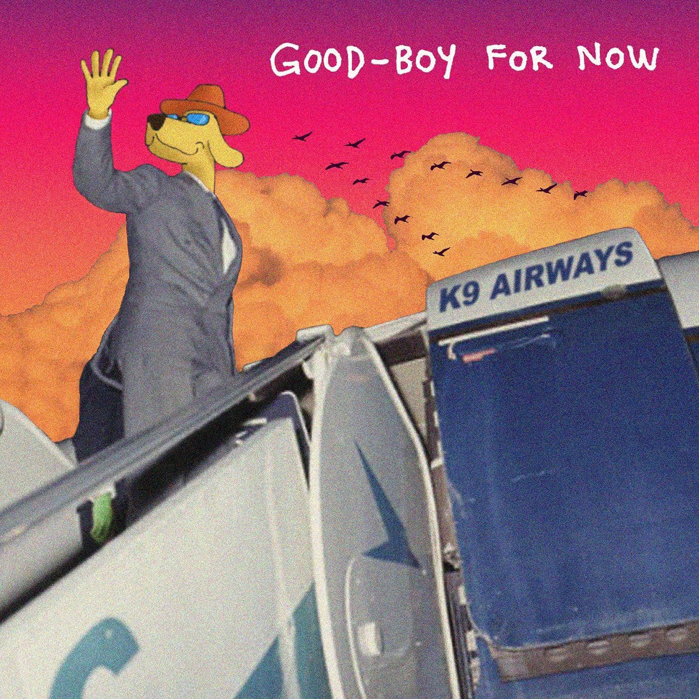 Good-Boy for NowGiggity, Cape Town